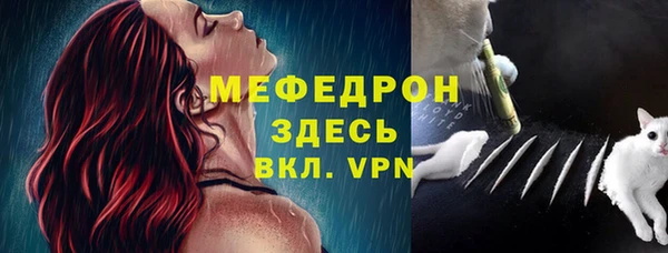 mdpv Богданович