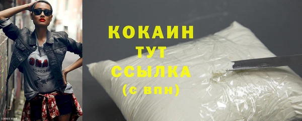 МДПВ Богородск