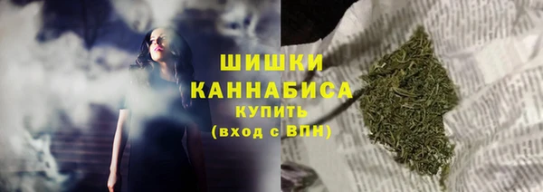 МДПВ Богородск