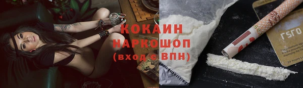 МДПВ Богородск