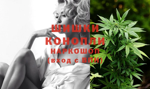 mdpv Богданович