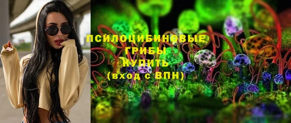 mdpv Богданович
