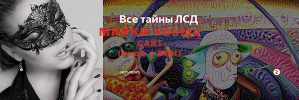 МДПВ Богородск