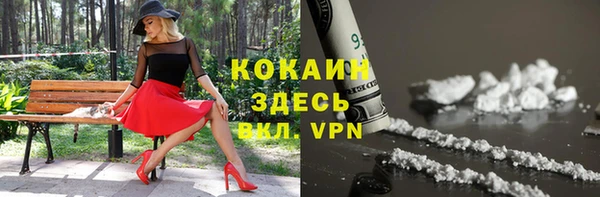 mdpv Богданович