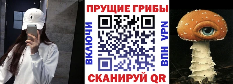 Псилоцибиновые грибы GOLDEN TEACHER  Екатеринбург 